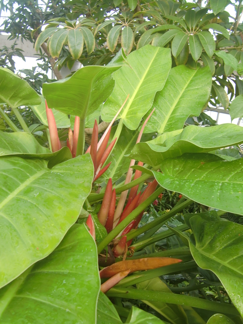 f0329849_1213544.jpg