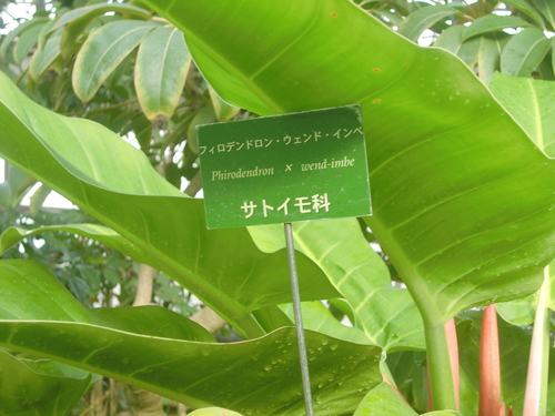 f0329849_1215293.jpg