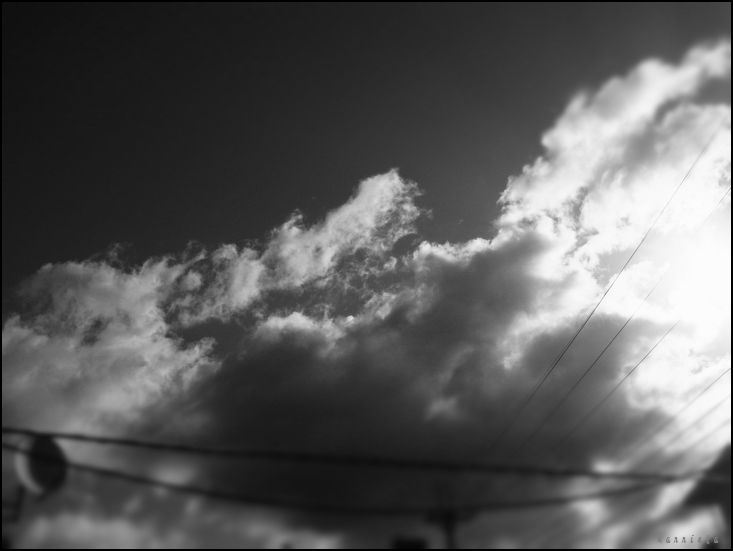 c0152690_2201592.jpg