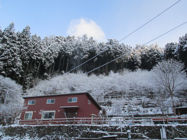 f0341616_05245603.jpg