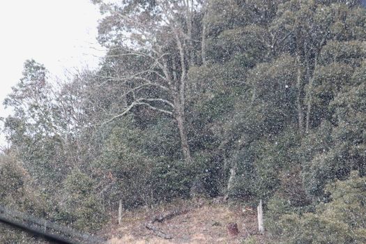 f0084422_21491732.jpg