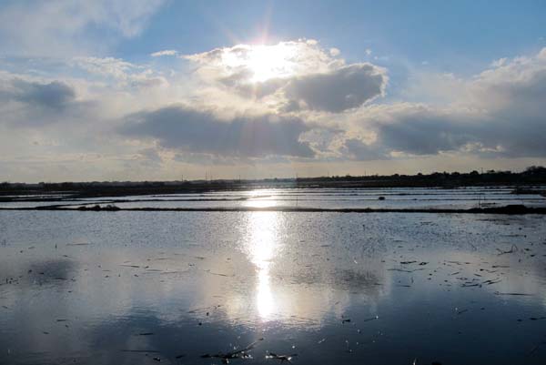 f0147025_13302890.jpg