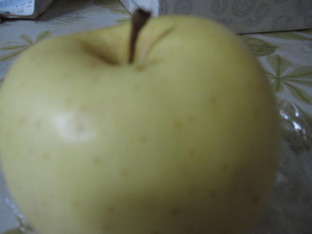 e0191826_0122333.jpg