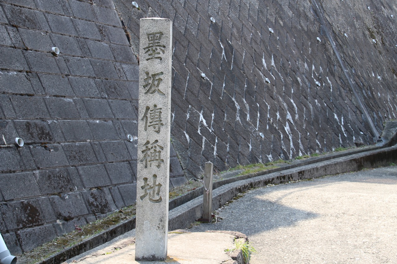 b0162728_6394944.jpg