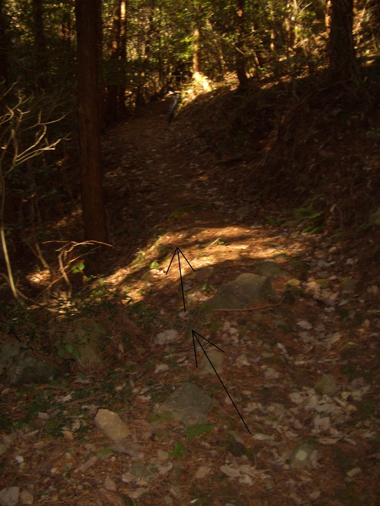 b0222530_14205655.jpg