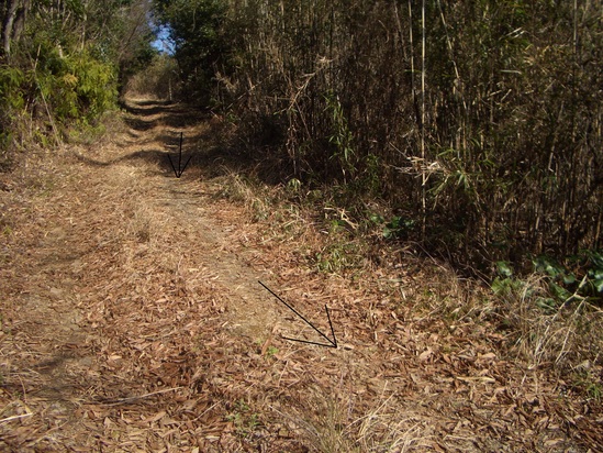 b0222530_14211252.jpg