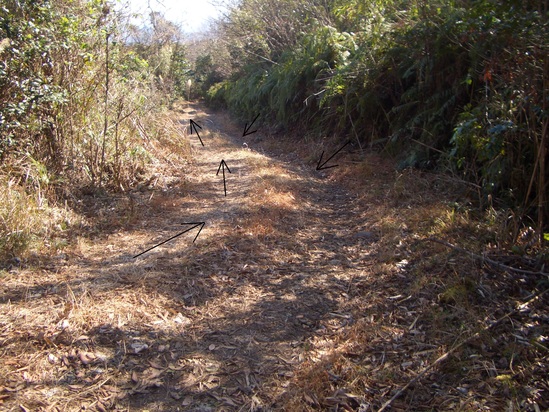 b0222530_1421345.jpg