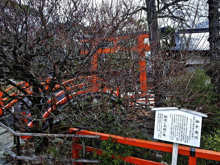 f0315034_12555920.jpg