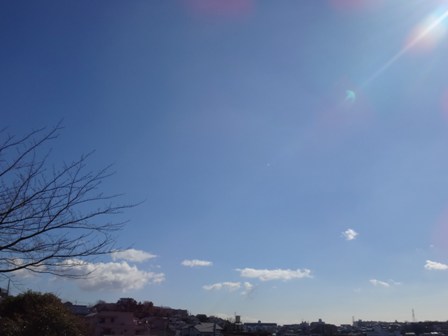 e0150843_2362847.jpg