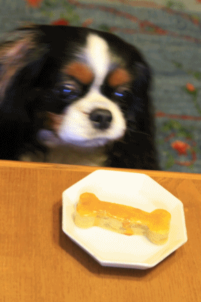 c0145250_16282775.gif