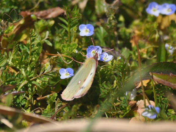 c0045352_1794912.jpg