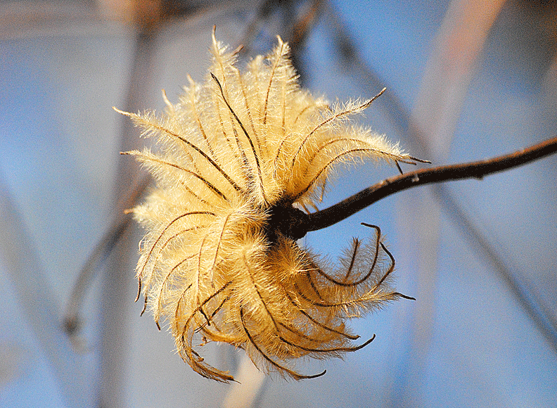 a0001354_22501276.gif