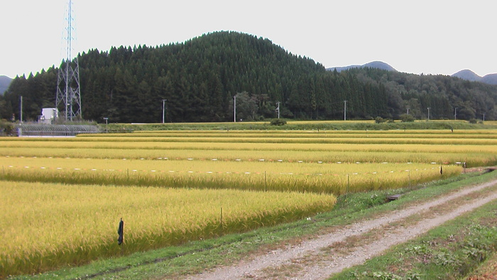 b0208961_11114747.jpg