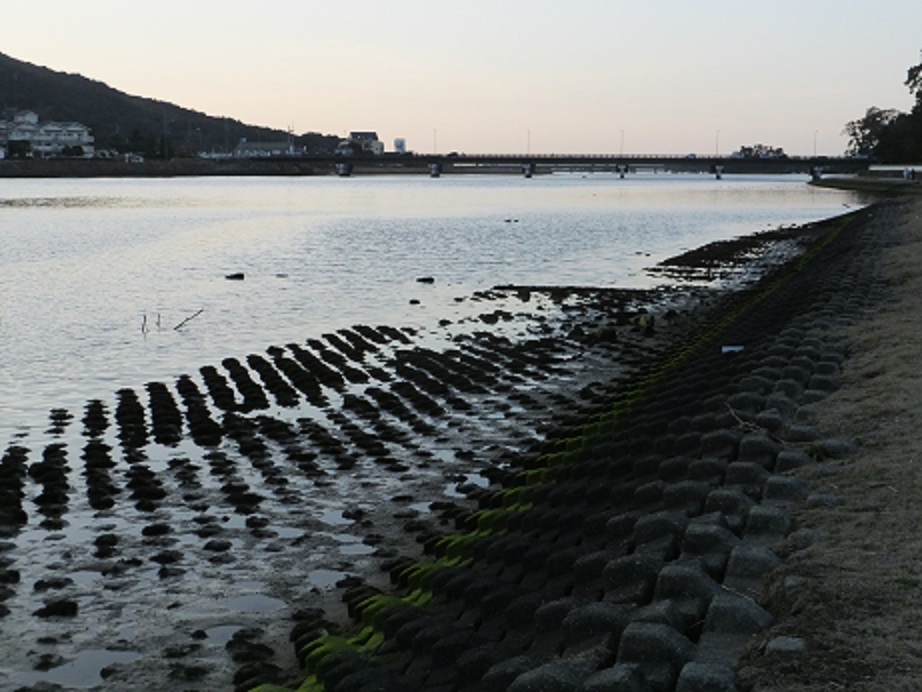 f0113862_19211323.jpg