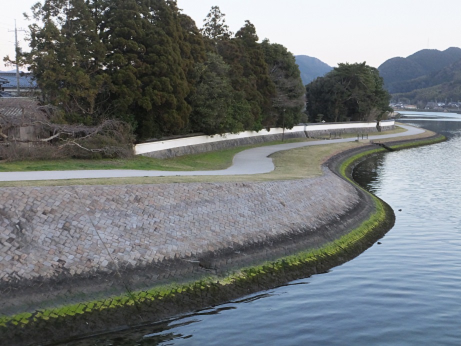 f0113862_1925573.jpg