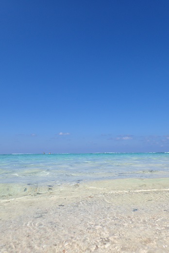 e0132965_16572432.jpg