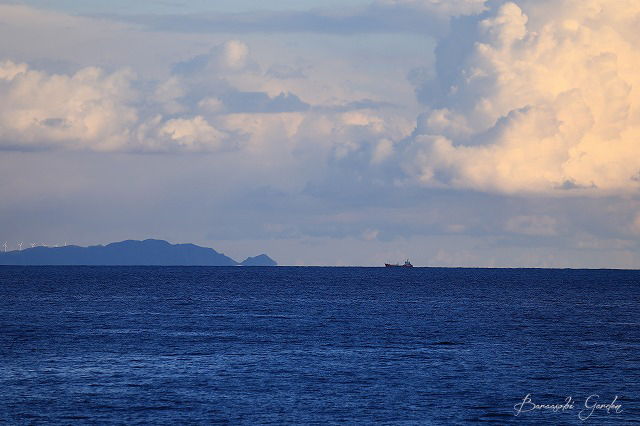 a0135366_173113.jpg