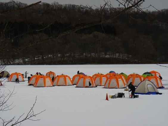 c0349773_21375093.jpg