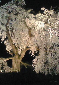 f0215179_2254258.jpg