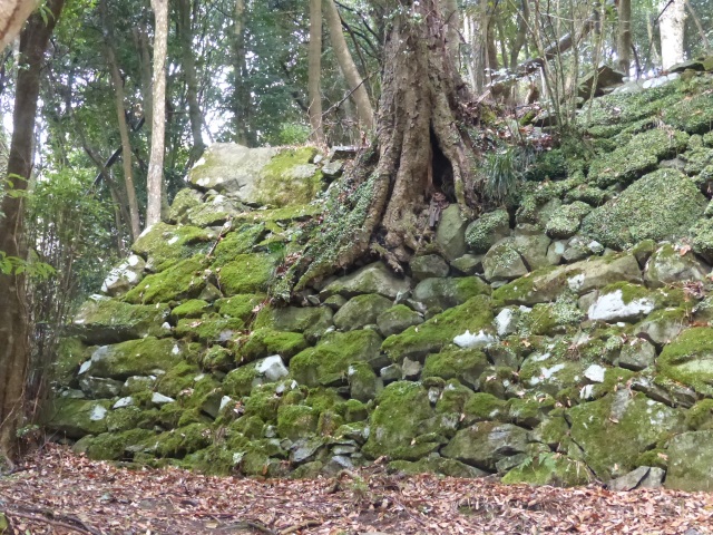 f0357487_22555672.jpg