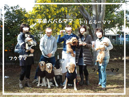 d0282395_22163383.png