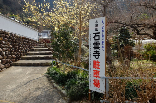 e0304001_23593651.jpg