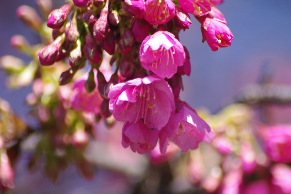 b0052108_1229113.jpg