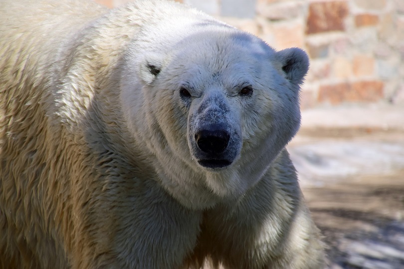 a0151913_341368.jpg