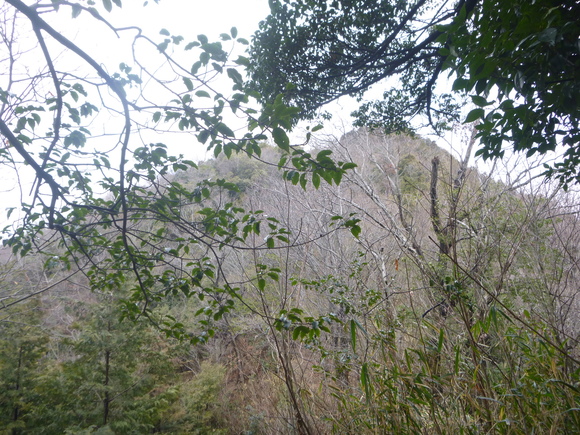 d0170615_2052036.jpg