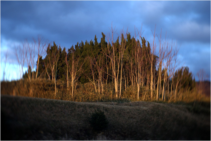b0226423_10443479.jpg
