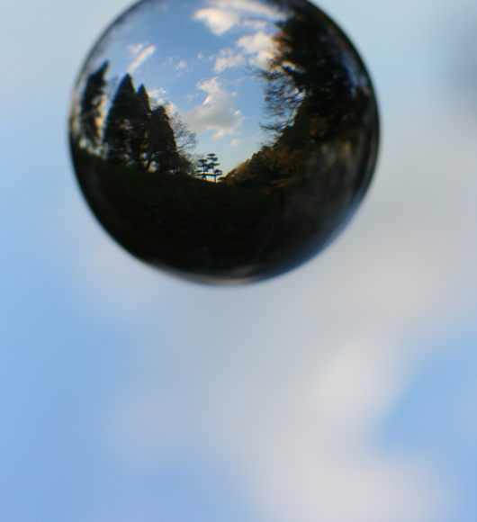 b0330432_12054668.png