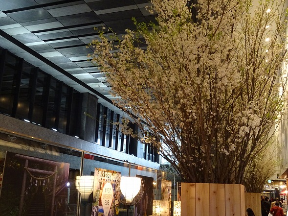 b0299042_15213159.jpg
