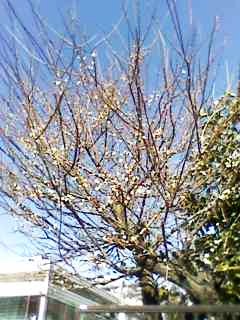 e0150843_23224827.jpg