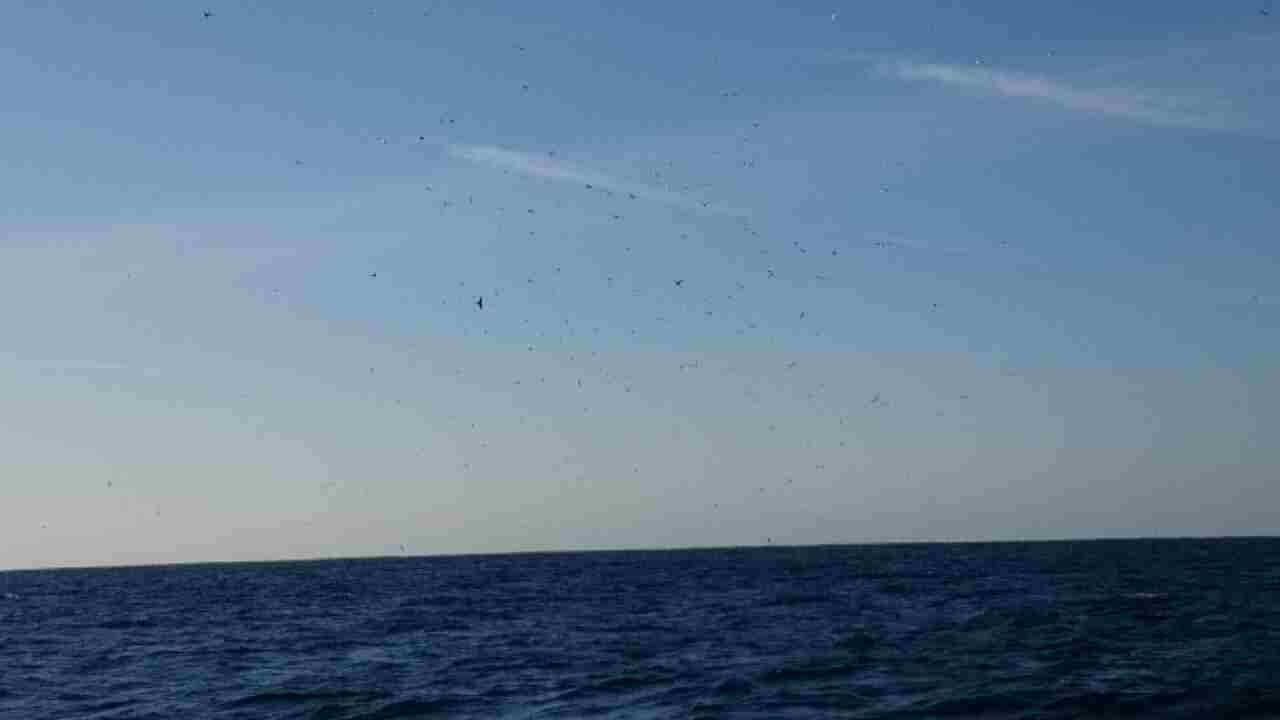 a0248152_18323362.jpg