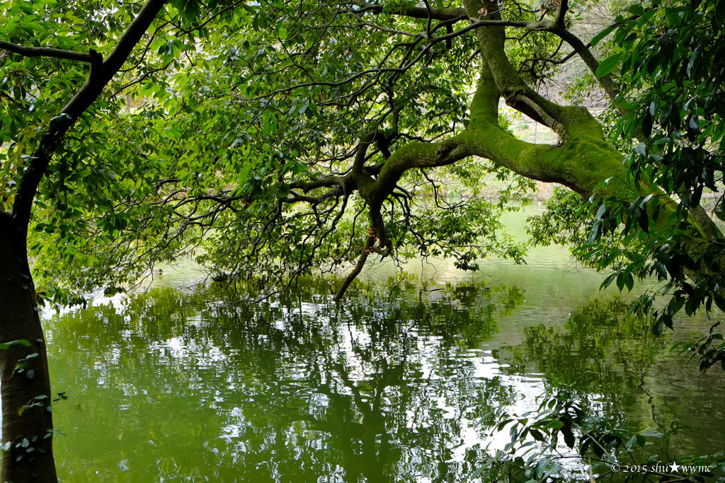 a0142976_223886.jpg