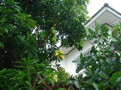 a0002177_22451176.jpg