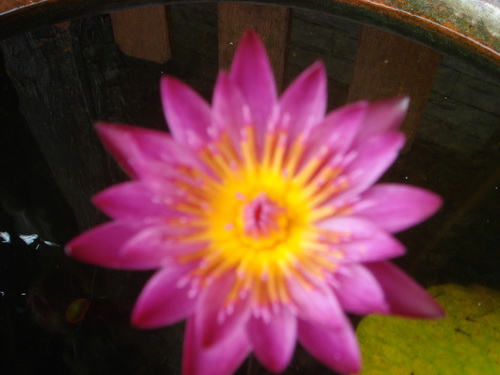 a0002177_22453038.jpg