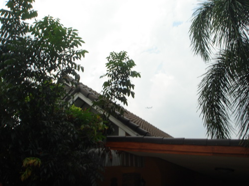 a0002177_22453324.jpg