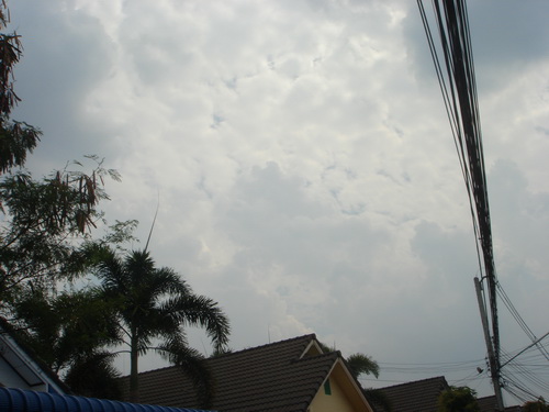 a0002177_22454075.jpg