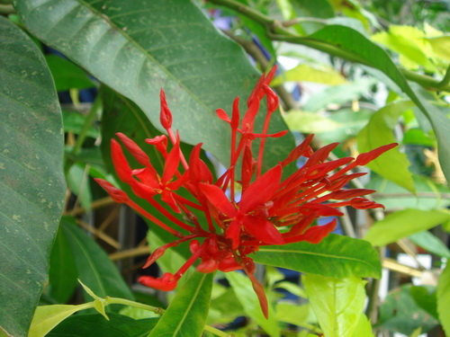 a0002177_2245590.jpg