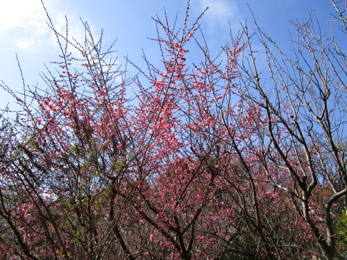 b0245877_23321395.jpg