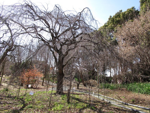 b0245877_23331030.jpg