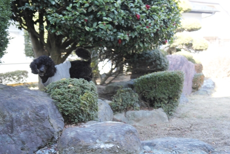 c0283778_1826865.jpg