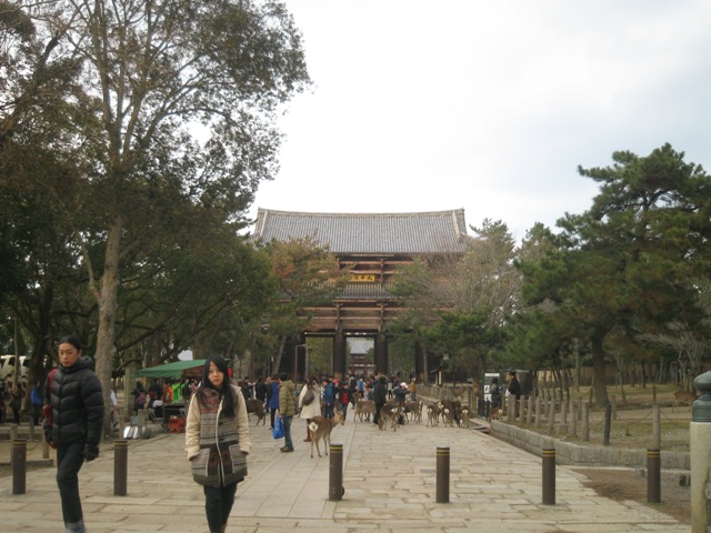 a0208783_19524787.jpg