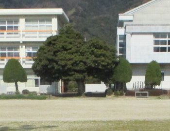 f0003283_08122544.jpg