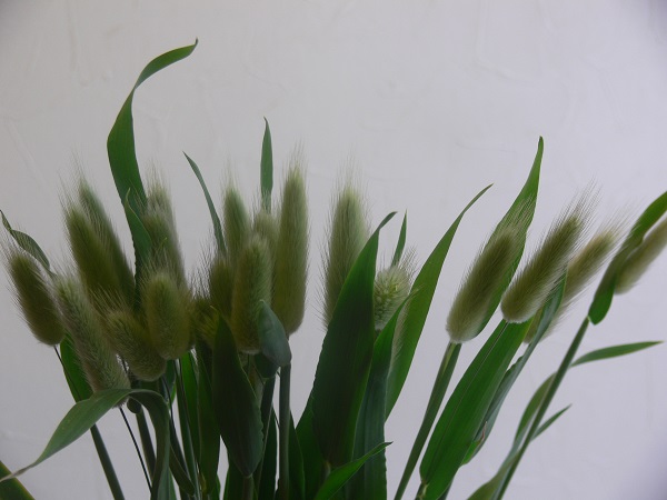 e0140986_17114310.jpg