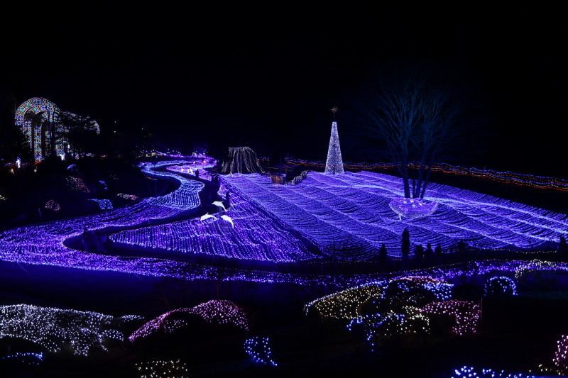 a0325492_22242850.jpg
