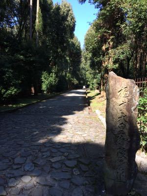 e0111793_1410718.jpg