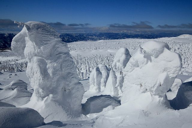 e0137200_19541835.jpg