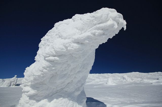e0137200_2023944.jpg